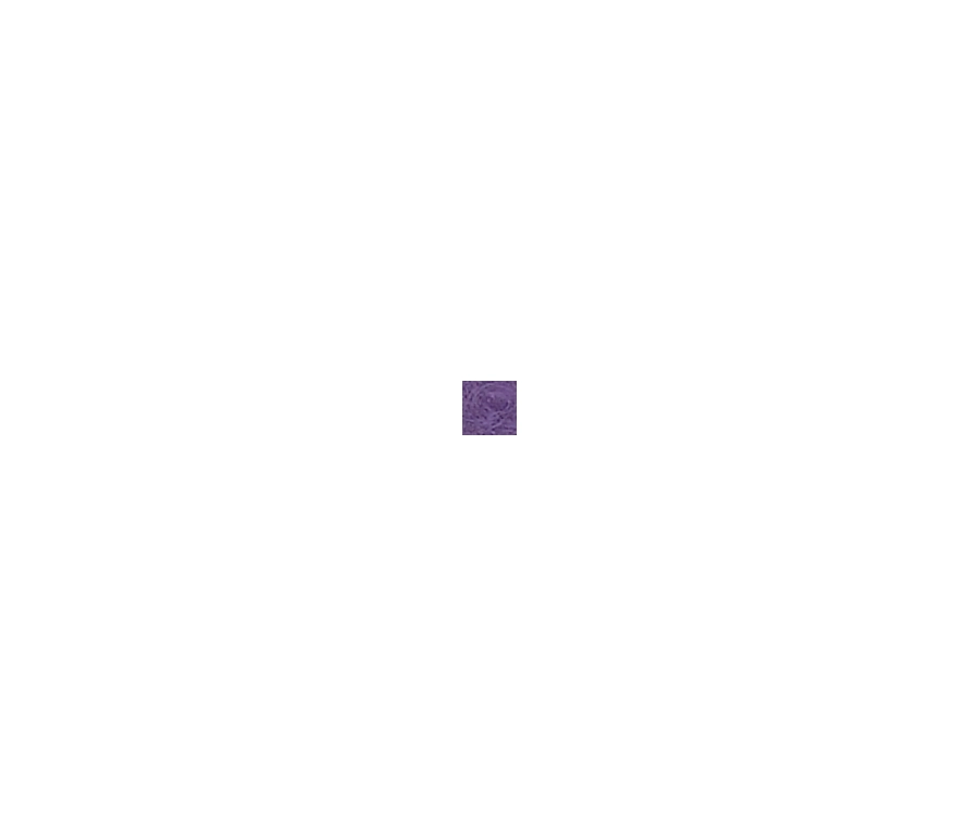 Action 2 Butt 2 Shaft Hard Case 18 Action 2 Butt 2 Shaft Hard Case - Image 18